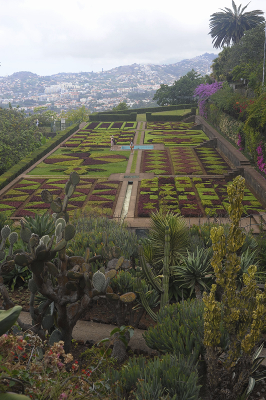 Funchal - botanicka zahrada